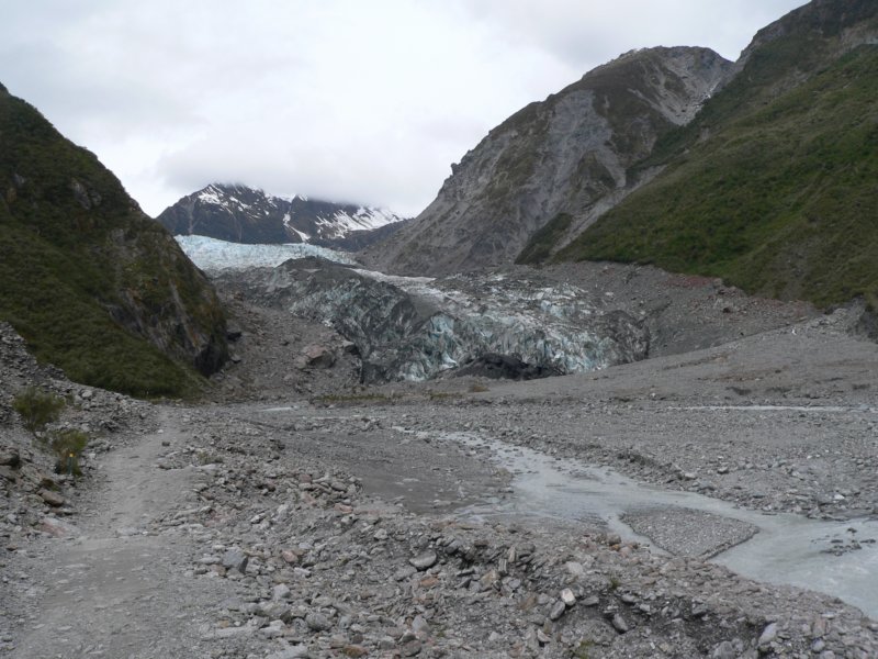 foxglacier2.jpg