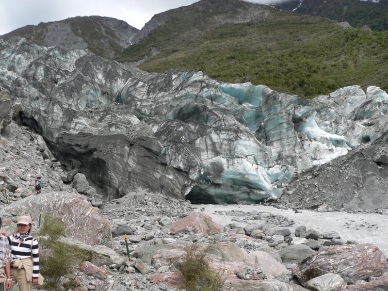 foxglacier3.jpg