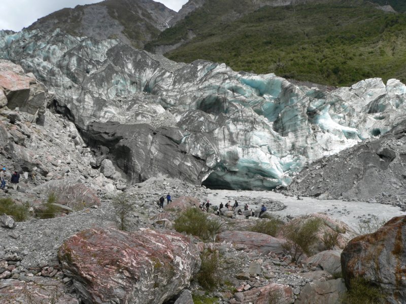 foxglacier4.jpg