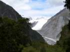 foxglacier_small.jpg